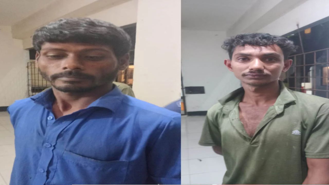 আড়াইহাজারে ধর্ষণচেষ্টার অভিযোগে আটক ২