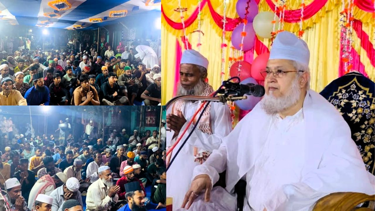 পাঠ্যপুস্তকে ইমাম হাসান-হোসাইন আ.-এর জীবনাদর্শ অন্তর্ভুক্তির দাবি-সাইফুদ্দীন আহমদ আল হাসানী মাইজভাণ্ডারী