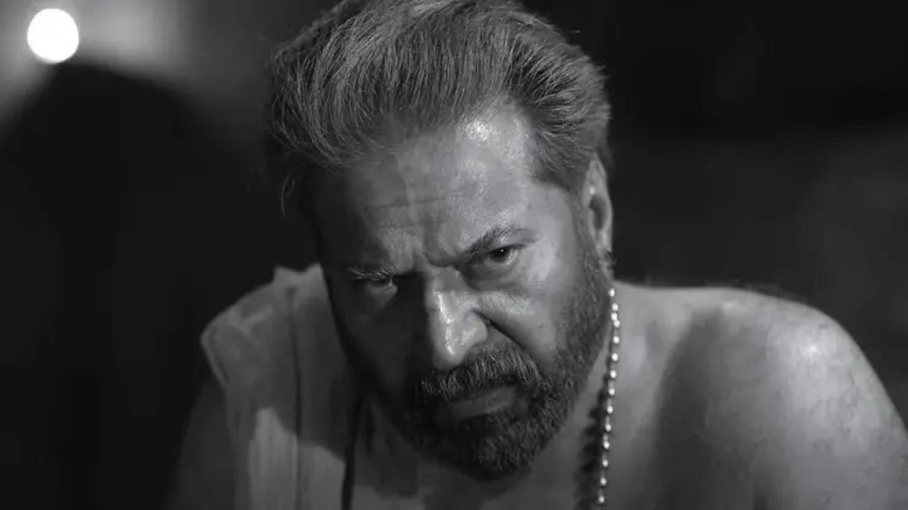 ভারতের জাতীয় চলচ্চিত্র পুরস্কারে কারা জিতলেন, প্রকাশিত পূর্ণাঙ্গ তালিকা