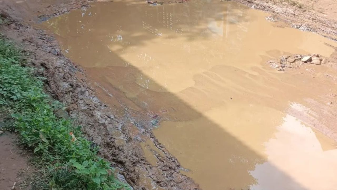 কালিকাপুর বাজার-বিজিবি ক্যাম্প সড়কের বেহাল দশা